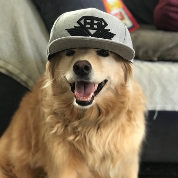 Meet your Posher, Cynthia - Picture 1 of 2